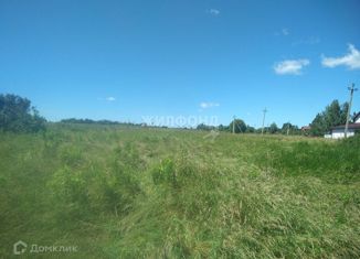 Продажа участка, 40 сот., деревня Лунево, Южная улица