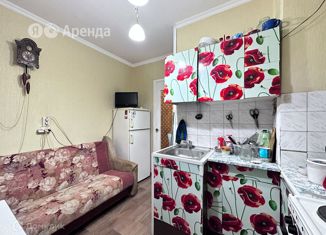 1-ком. квартира в аренду, 33 м2, Санкт-Петербург, Хасанская улица, 6к1