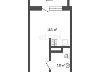 Продается квартира студия, 20 м2, деревня Патрушева, ЖК Никольский