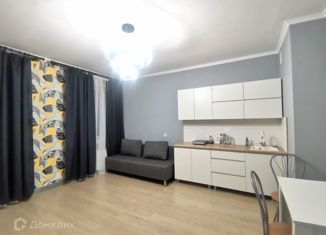 Продаю квартиру студию, 28 м2, село Остафьево, Остафьевское шоссе, 12к1