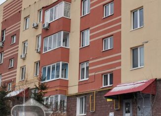 Продается 3-комнатная квартира, 117.6 м2, Республика Башкортостан, улица Зайнаб Биишевой, 1