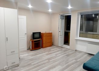 1-комнатная квартира в аренду, 38 м2, Санкт-Петербург, проспект Луначарского, 94, муниципальный округ Прометей
