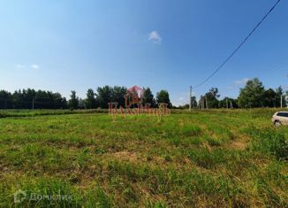 Участок на продажу, 20 сот., деревня Насадкино, 46Н-00959