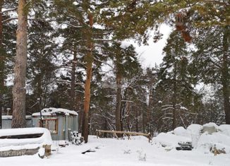 Продам земельный участок, 47 сот., деревня Папушево