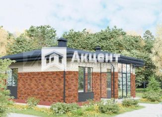 Продается дом, 90 м2, деревня Беляницы, Рябиновая улица, 41