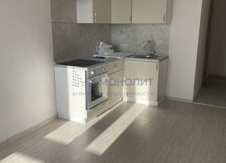 Квартира на продажу студия, 23 м2, деревня Анкудиновка, Русская улица, 3