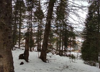 Продам участок, 12.65 сот., село Иогач, Лесная улица