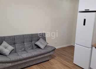 Продам квартиру студию, 23.3 м2, Краснодар, улица Героя Пешкова, 14/4, ЖК Парк Победы