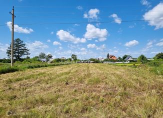 Участок на продажу, 25 сот., деревня Мантурово