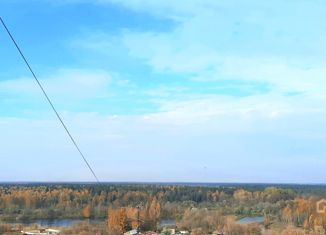 Продам 5-ком. квартиру, 300 м2, Ногинск, улица 3-го Интернационала, 86