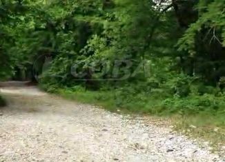 Продаю участок, 6 сот., село Цыпка, Центральная улица, 2