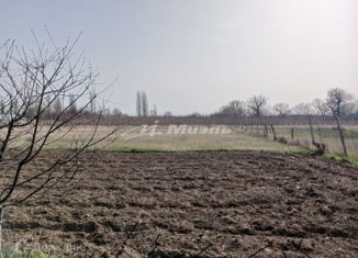 Продаю участок, 6 сот., село Зыбины, улица Кирова