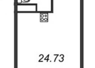 Квартира на продажу студия, 24.73 м2, Санкт-Петербург, Товарищеский проспект, 19, ЖК Авеню Апарт на Дыбенко