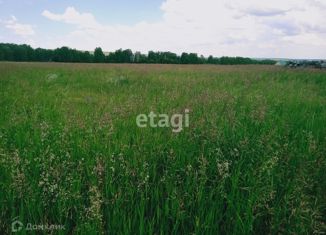 Продаю земельный участок, 15.6 сот., деревня Большая Куйсарина