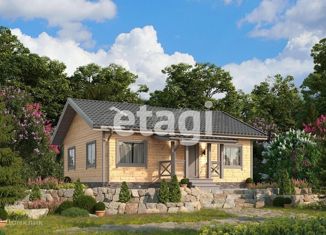 Продажа дома, 76 м2, деревня Порицы, деревня Порицы, 30