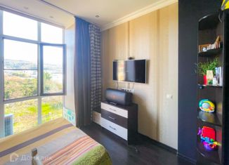 Продам квартиру студию, 23.3 м2, село Молдовка, Костромская улица, 90