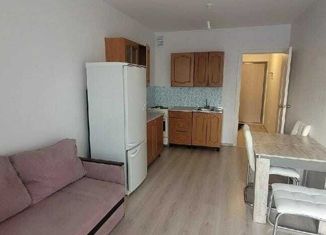 Продам квартиру студию, 23 м2, Екатеринбург, улица Евгения Савкова, 23