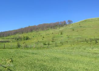 Продаю дом, 54.5 м2, село Новое Суркино