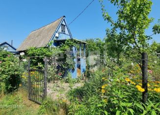 Продаю дом, 24 м2, Брянская область, 3-я линия