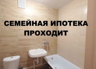 Продам 1-комнатную квартиру, 20.3 м2, село Осиново, улица Гайсина, 2Б, ЖК Радужный