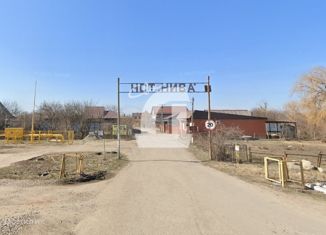 Земельный участок на продажу, 4.2 сот., СНТ Нива, Сливовая улица, 352