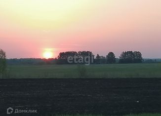 Продам земельный участок, 41.9 сот., село Тандашково, Центральная улица