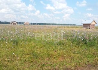 Продажа участка, 12.6 сот., село Старые Камышлы, Центральная улица