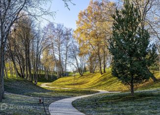 Продаю земельный участок, 38.1 сот., деревня Тимошкино