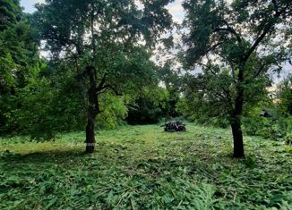 Продам участок, 40 сот., деревня Кофаново, Овражная улица