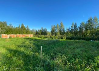 Продаю дом, 800 м2, СНТ Строитель, 2-й ряд