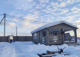 Продается дом, 35 м2, село Кудиново, улица Цветкова