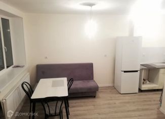 Продам квартиру студию, 28 м2, Мурино, улица Шоссе в Лаврики, 68к3, ЖК Северный