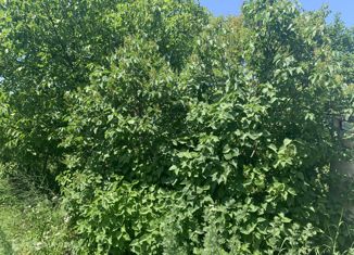 Продажа земельного участка, 6 сот., Ставрополь, микрорайон № 22, садовое товарищество Зори Кавказа, 1036