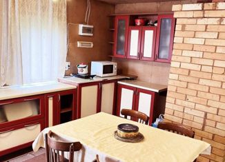 Продажа дома, 50 м2, деревня Чистое Озеро, улица Чистое Озеро, 3