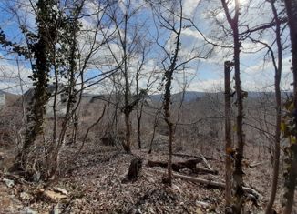 Земельный участок на продажу, 4.2 сот., садовое некоммерческое товарищество Медик, Солнечная улица