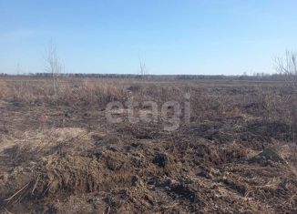 Продается участок, 12 сот., деревня Зырянка, улица Старая Зырянка