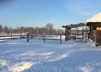 Продаю дом, 45 м2, деревня Соколовка, Первомайская улица