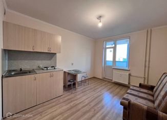 Сдается в аренду квартира студия, 23 м2, Мурино, Графская улица, 11, ЖК Краски Лета