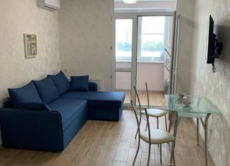 Сдача в аренду квартиры студии, 29 м2, Ростов-на-Дону, Береговая улица, 73с1