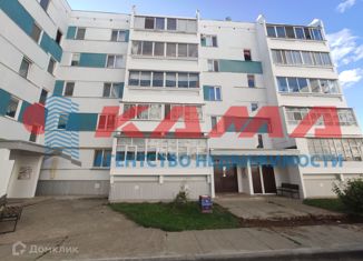 Продается двухкомнатная квартира, 54 м2, Елабуга, улица Хирурга Нечаева, 9