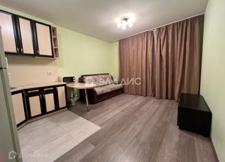 Сдача в аренду квартиры студии, 25 м2, Мурино, Привокзальная площадь, 3к3, ЖК Эланд