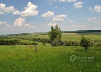 Продается земельный участок, 15 сот., деревня Жашково