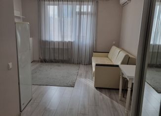 Продается квартира студия, 24 м2, Краснодар, Заполярная улица, 37к4, ЖК На Красных Партизан