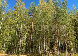 Продажа земельного участка, 6 сот., СНП Лесная Сказка