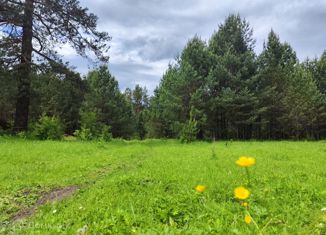 Продажа земельного участка, 20 сот., посёлок Усть-Сема