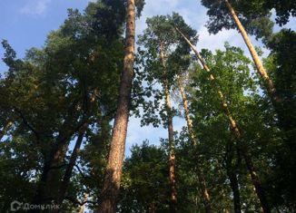 Земельный участок на продажу, 38 сот., поселок Николина Гора, Архангельская улица