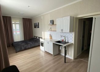 Сдам в аренду квартиру студию, 27 м2, Санкт-Петербург, Кушелевская дорога, 1к2, ЖК Кирилл и Дарья