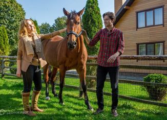 Продам земельный участок, 9 сот., деревня Шелково, Центральная улица