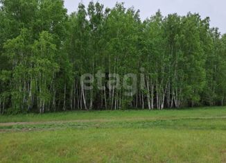 Земельный участок на продажу, 25 сот., посёлок Хвойный, Дачная улица, 5