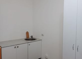 Сдается в аренду квартира студия, 23.8 м2, Мурино, улица Шувалова, 23, ЖК Гринландия-2